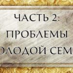 Проблеми младе породичне заједнице (ВИДЕО)